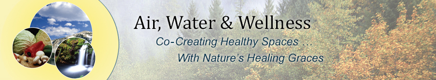 Air, Water & Wellness